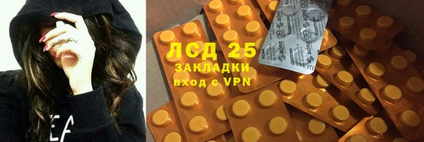 ПСИЛОЦИБИНОВЫЕ ГРИБЫ Горнозаводск
