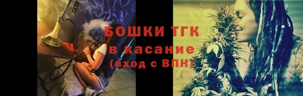 ПСИЛОЦИБИНОВЫЕ ГРИБЫ Горнозаводск