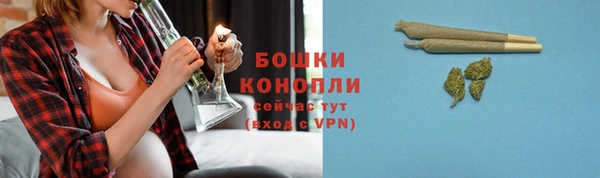 индика Вязьма