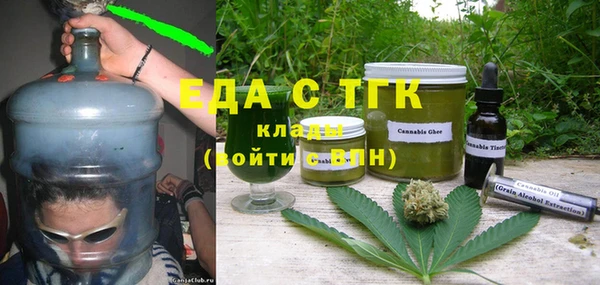 индика Вязьма