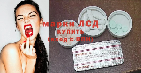 индика Вязьма