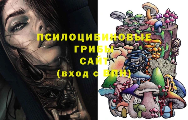 дживик Горно-Алтайск