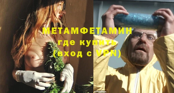 индика Вязьма