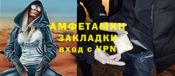 индика Вязьма