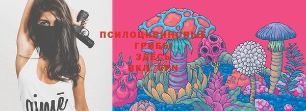 индика Вязьма