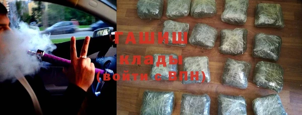 индика Вязьма
